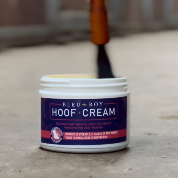 Hoof Cream – Image 2